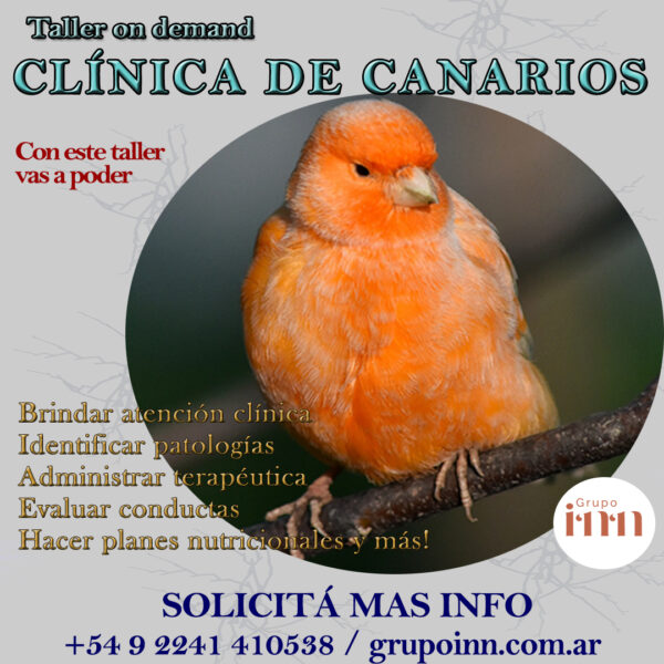 Clínica veterinaria en canarios