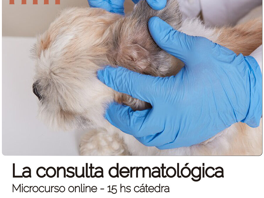 La consulta dermatológica