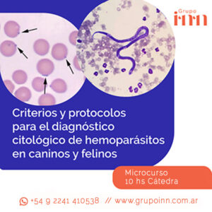 Diagnóstico citológico de hemoparásitos en caninos y felinos