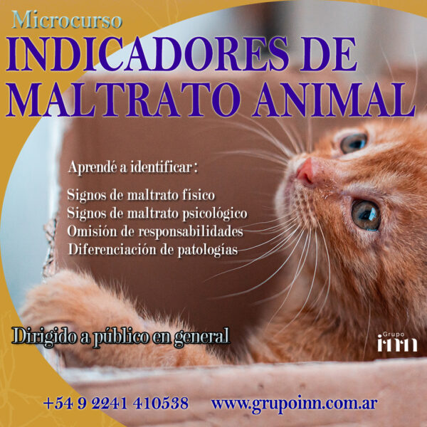 Indicadores de maltrato animal