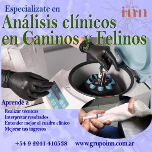 Análisis Clínicos en Caninos y Felinos