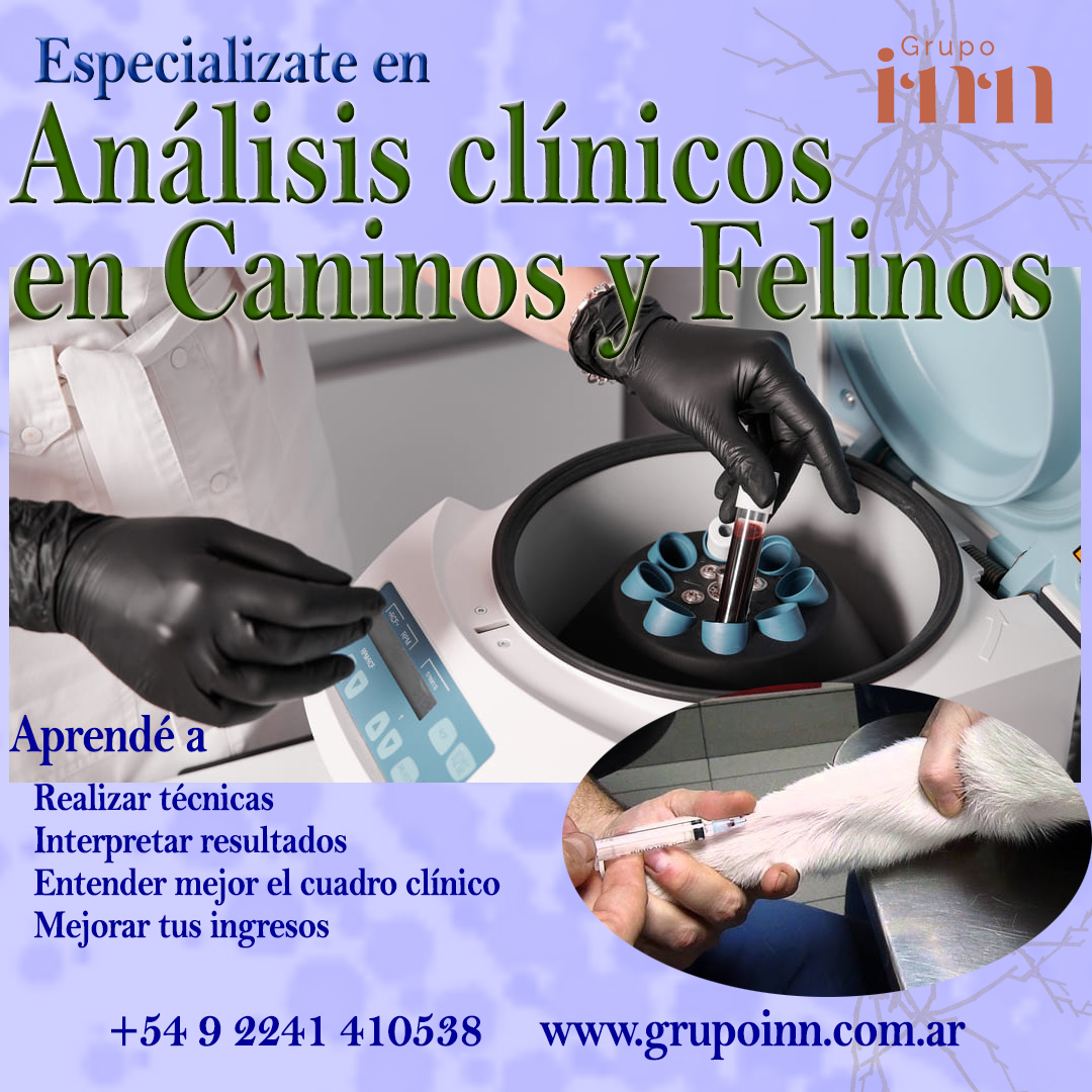 Análisis Clínicos en Caninos y Felinos