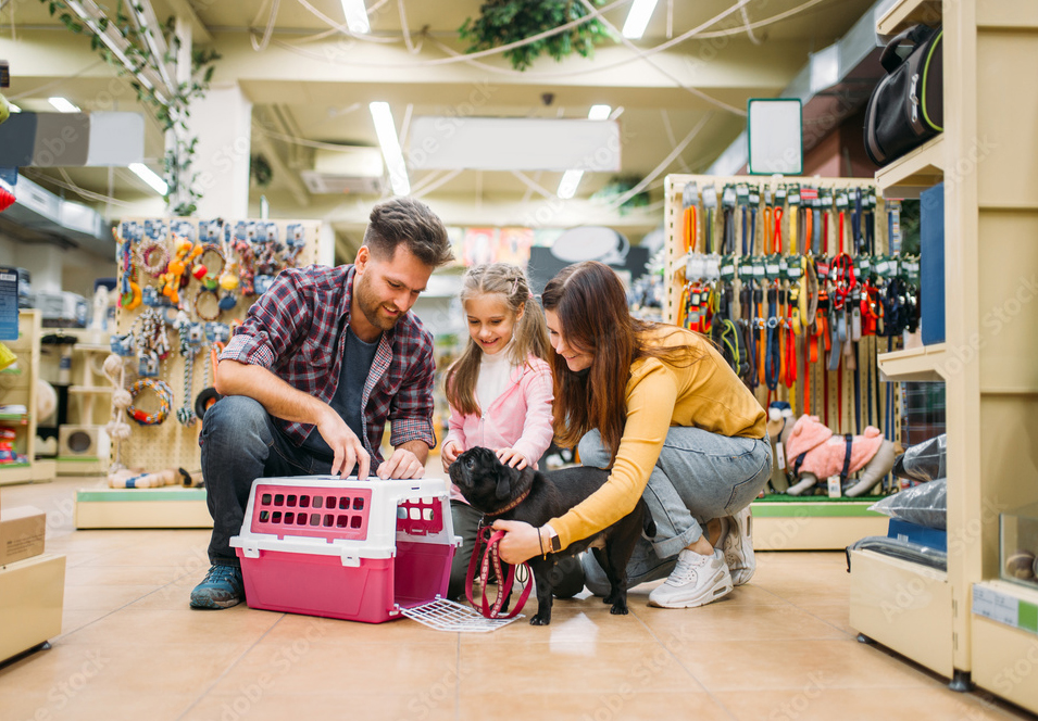 Inicio y gestión del pet shop